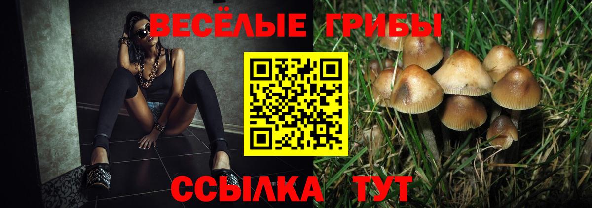 Галлюциногенные грибы ЛСД Нягань